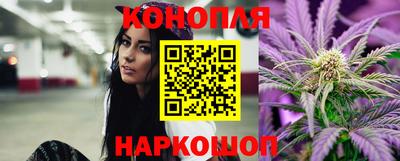 СК Севастополь