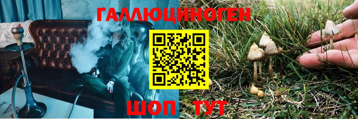 Псилоцибиновые грибы мухоморы Новотроицк