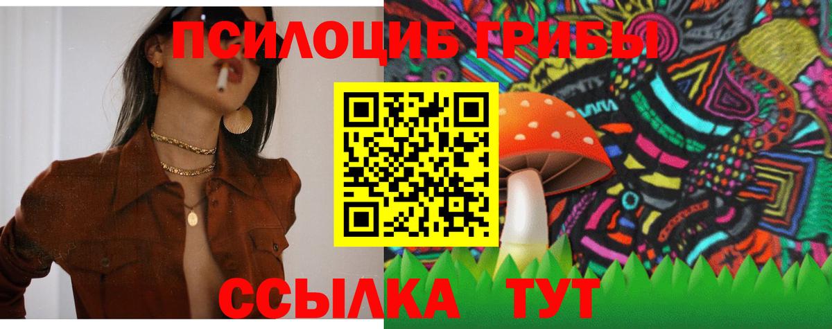 Галлюциногенные грибы GOLDEN TEACHER  Вход с VPN  Новотроицк 